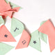 Triangle Bunting (Pink/Celadon)